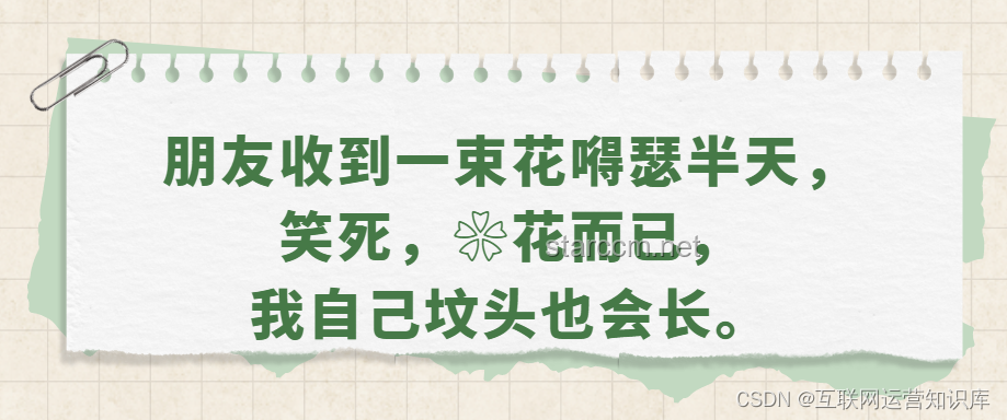 端午节这样发，保证笑翻朋友圈：创意文案与行业趋势深度分析